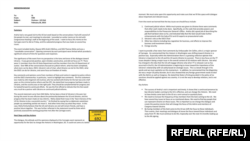 Paul Manafort, një lobist veteran republikan i cili punoi për ish-presidentin ukrainas Viktor Yanukovych, e solli Andriy Portnov në Uashington në vitin 2013, për të ndihmuar në zbutjen e kritikave të SHBA-së ndaj administratës së Yanukovych.