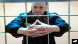 Руският опозиционер Алексей Навални