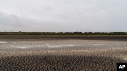 Europa se usucă, cum se vede într-o imagine din 2022 din Parcul Național Donana, din sudul Spaniei. Legea Naturii pune accent inclusiv pe refacerea unor zone umede, de acest tip.