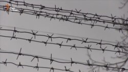 Суддя у справі Карпюка-Клиха захворів на місяць – адвокати (відео)