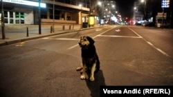 Beogradske ulice su već nedeljama prazne u vreme policijskog sata, arhivska fotografija