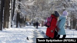 Иллюстративное фото.