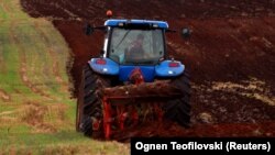 Një bujk në Veles të Maqedonisë së Veriut. Fotografi nga arkivi. 
