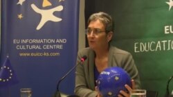 Eurodeputetja Lunacek, ia lë "topin në duar" qeverisë