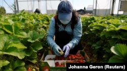 Fotografi ilustruese. 