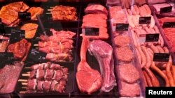 Njemačka je bila jedna od 10 evropskih zemalja koja je dala uzorak za istraživanje o potrošnji mesa u prehrani. Smart Protein navodi da 10 posto njemačkih potrošača sebe smatra biljojedima, što znači veganima ili vegetarijancima.