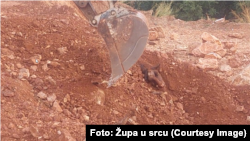 Zakopane eutanizirane krave oboljele od Q groznice