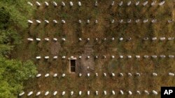 илустрација