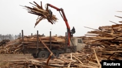 Trideset i pet posto drvne industrije u BiH odnosi se na izvoz trupaca, rezane građe i ogrijevnog drveta