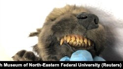 Dogorov osmijeh star 18.000 godina