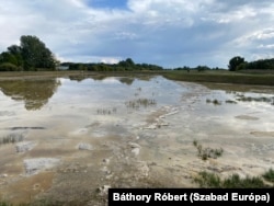 2022 nyarán a zsombói kétszázmilliós víztározón keresztül lehetett sétálni.