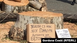 Posječeno drveće na Kalemegdanu