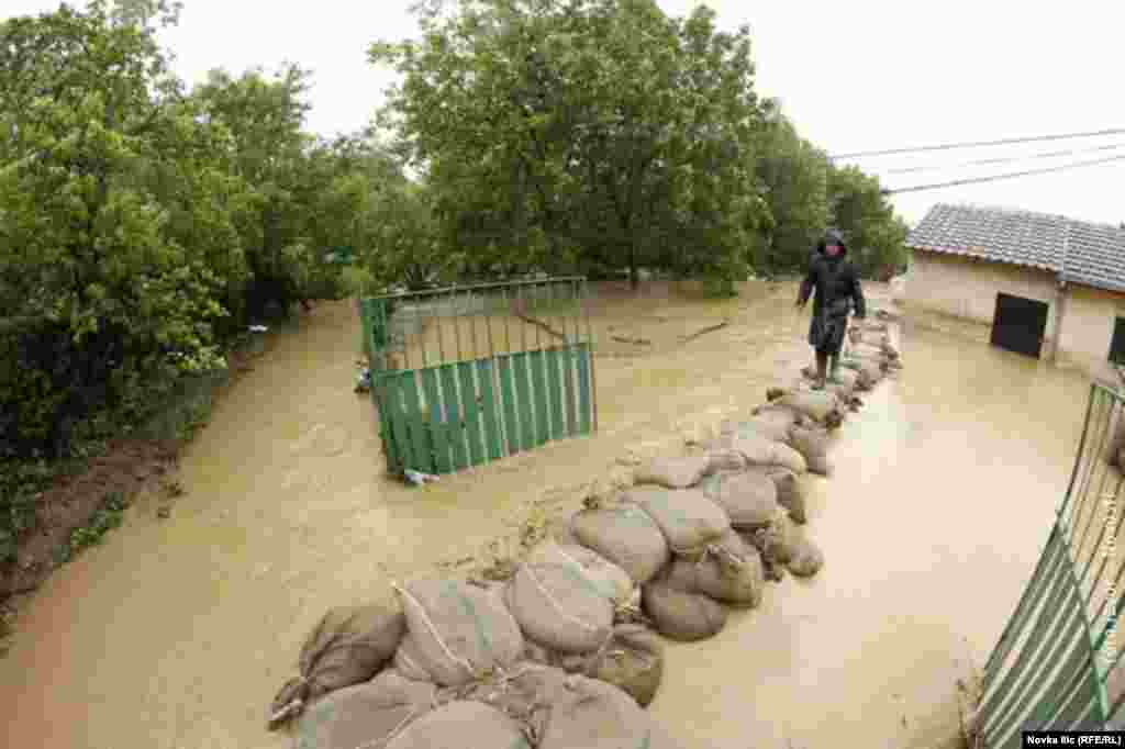 Bajina Bašta, Srbija