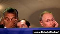 Viktor Orbán cu Vladimir Putin asistând la un campionat de judo în Budapesta, 28 august, 2017.