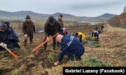 Primarul din Bistriţa spune că a decis să împădurească din resurse proprii o mică pădure urbană, în locul banilor din PNRR.