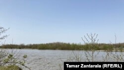 კუნძული მდინარე ენგურში. გალის რაონი