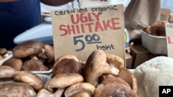 Cumpărătorii sunt îndemnați să aleagă ciuperci „urâte”.