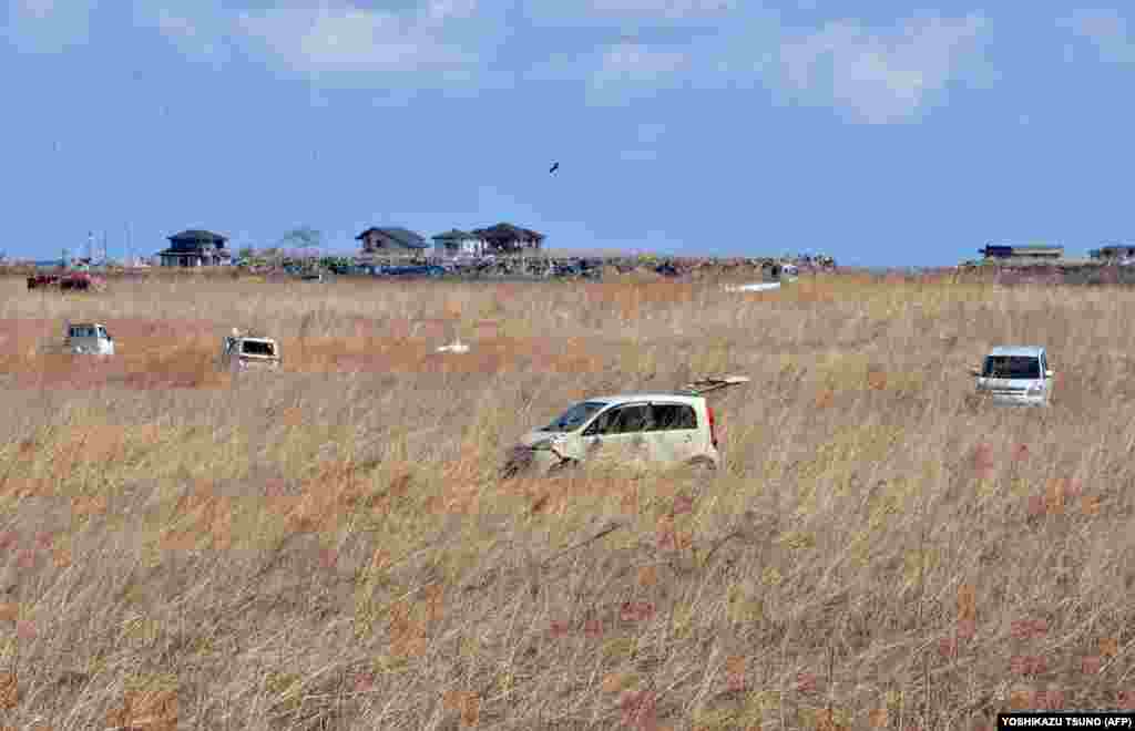 Napuštena vozila u polju trske u gradu Namie, dve godine nakon nuklearne katastrofe u Fukušimi