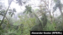 Ilustrativna fotografija