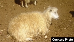 Фото из архива