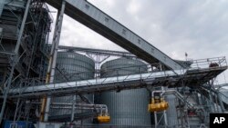 Илустративна фотографија. 