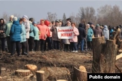 Жители села Столовое в Тамбовской области на расчистке обмелевшего Богачевского пруда