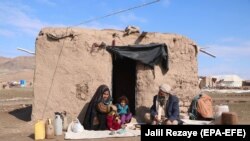 Raseljeni Avganistanci u Heratu