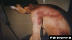 Zlostavljanje nesrba pod komandom Ratka Mladića