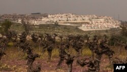 Fotografija prikazuje izraelsko naselje Efrata izgrađeno na zemlji palestinskog grada Al-Khader u pokrajini Betlehem na okupiranoj Zapadnoj obali 6. marta 2024. godine.