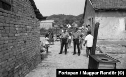 Felzárkóztatás, 1981.