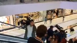 გურამ ფალავანდიშვილი "გალერია თბილისში" შევიდა