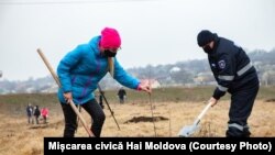 Acțiune de plantare pe malul râului Ichel, martie 2021