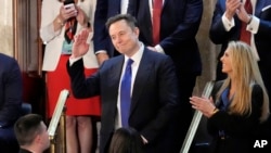 Глобальные продажи Tesla резко упали в течение первого квартала 2025 года из-за обсуждения роли Илона Маска в политике США