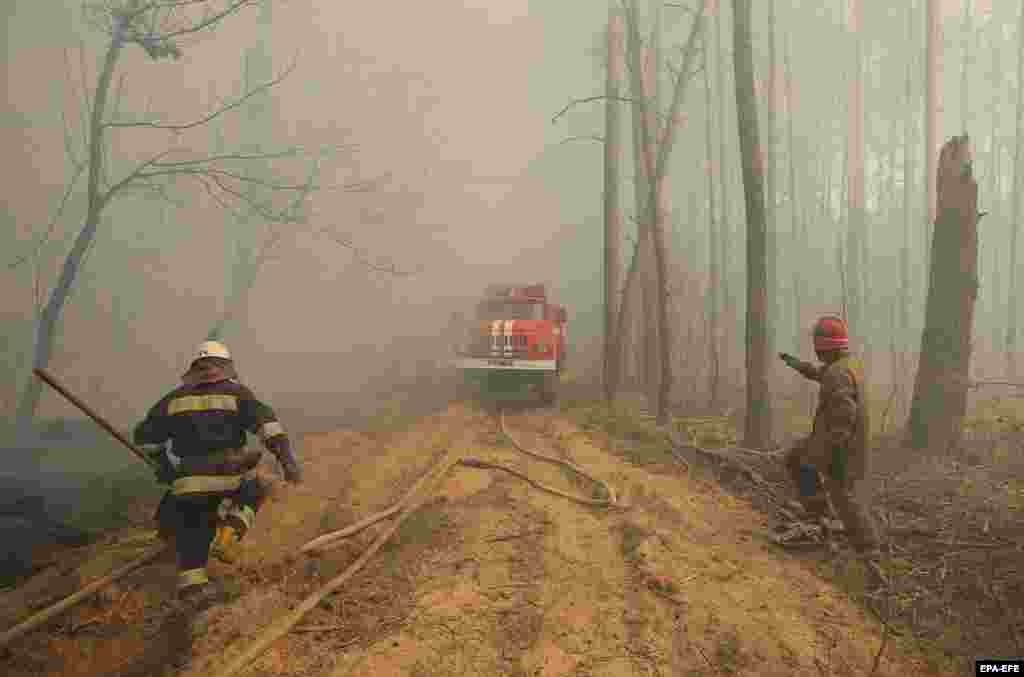 Украински пожарникари во близина на селото Рахивка. Беа ангажирани повеќе од 400 пожарникари.