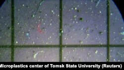 Studije su otkrile zagađenje mikroplastikom u antarktičkom morskom ledu i površinskoj vodi, ali ovo je prvi prijavljeni slučaj u svježem snijegu. (Foto: Mikroplastične čestice pronađene u uzorcima snijega uzetim u Sibiru pod mikroskopom u laboratoriji u Tomsku, 17. marta 2021.)