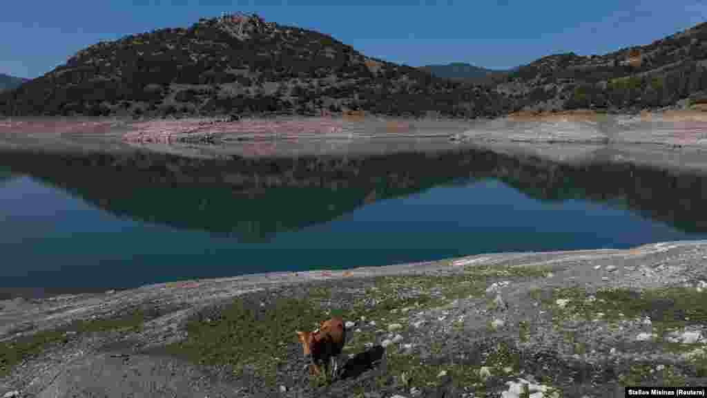 Ali nakon zime gotovo bez snijega, ljeta ekstremnih vrućina i mjeseci sa malo kiše, voda u jezeru je pala na najniži nivo u više od tri decenije.