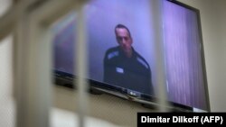 Алексей Навални е в трудова колония на 100 км от Москва от януари насам