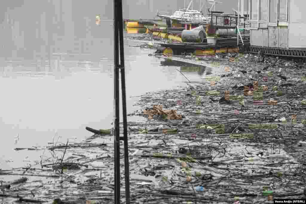 Проблемот со ѓубрето што лебди на површината на реките постои со години.