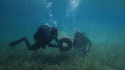 Zhytësit japin alarmin për ndotjen e deteve