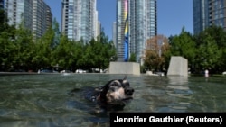 Во Литон, Британска Колумбија, во понеделникот биле измерени рекордни 47,9 степени