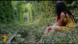 «Тунель кохання» заманює туристів 