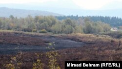 U najnovijem požaru izgorjelo je oko 80 posto prirodnog dijela ove submediteranske močvare