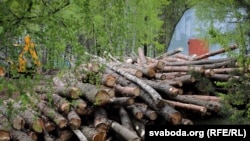 Снимката е илюстративна