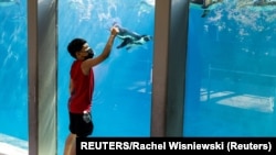 A Philadelphiai Állatkert rendszeres oltási központot működtet. Az oltás után a családok megnézhetik az állatkertet.