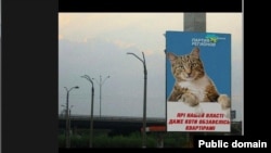 (фото з мережі Facebook)