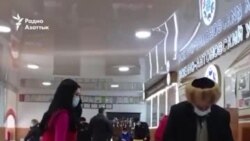 Выборы и референдум: волонтеры сообщают о нарушениях