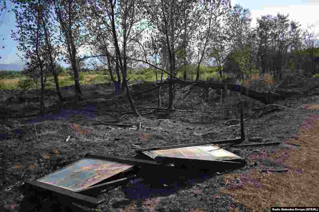 Prirodni rezervat Ezerani bio je dom za preko 200 vrsta ptica, uključujući i najveću koloniju pelikana.