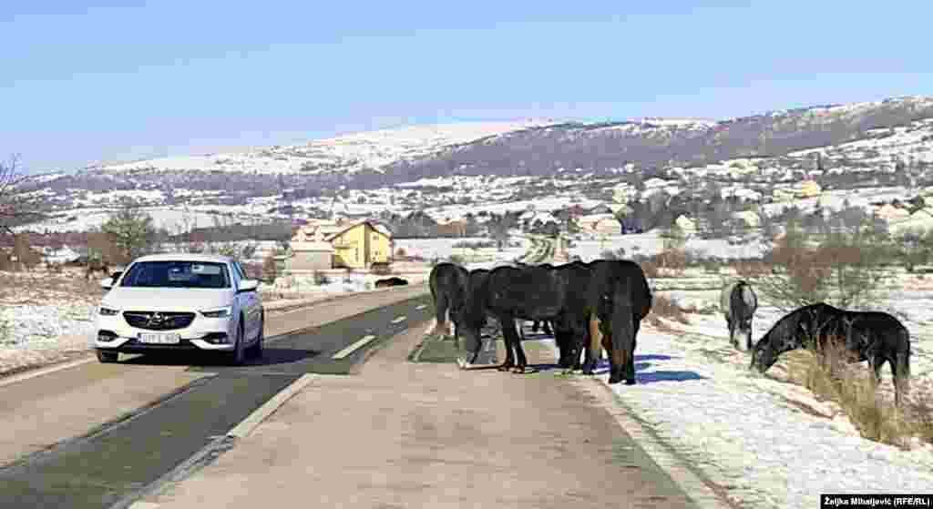 Postali su prava turistička atrakcija livanjskog kraja.
