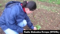 Sejdefa Šoto-Koprdža na poslu