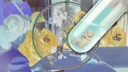 ილუსტრაცია. ტაილანდური მედია ორგანიზაცია Pavena Foundation for Children and Women-ზე დაყრდნობით იტყობინება, რომ საქართველოში კიდევ რჩება 100-მდე ქალი, რომლებიც დანაშაულებრივ სქემაში იძულებით არიან ჩართული